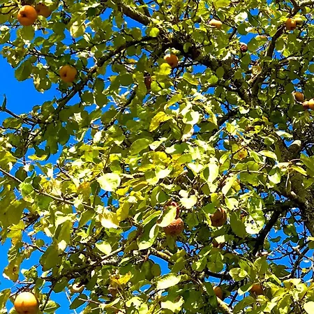 شقة Lapartment Du Perigord *