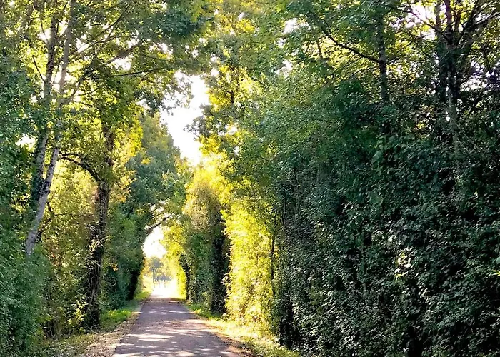 Apartmán Lapartment Du Perigord