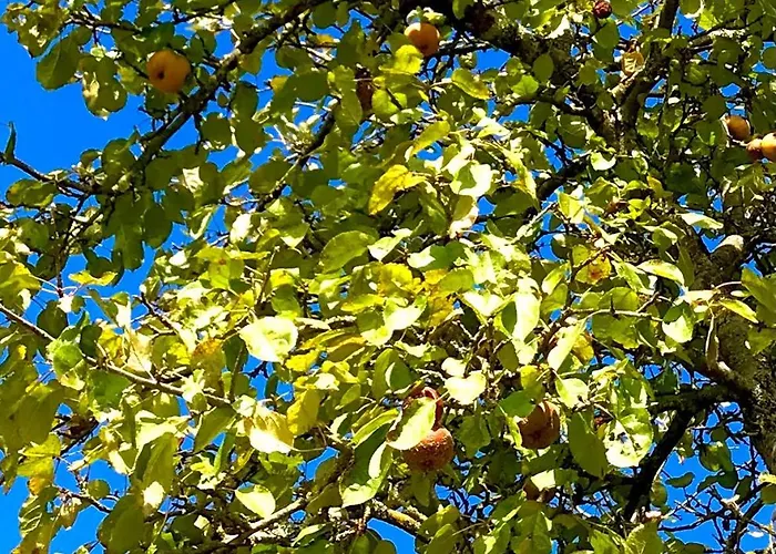 Apartmán Lapartment Du Perigord *